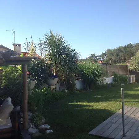 Holiday Allee De La Campanule קפברטון